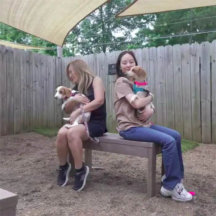 Mostly Mutts Animal Rescue