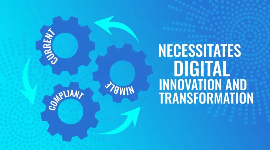 Flocksy Custom Instructional Video